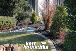 Növényágyások kialakítása (18)